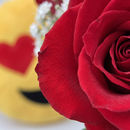 Apaixonante Buquê de 12 Rosas Vermelhas e Emoji 