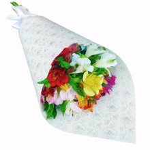 Elegância Das Astromélias Coloridas