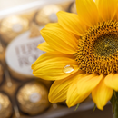 Amor Em Girassóis & Ferrero Rocher 
