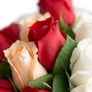 Elegante Buquê De 18 Rosas Mescladas