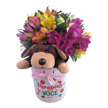 Kit Surpresa De Astromélias & Pelúcia