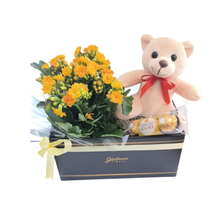 Surpresa Na Caixinha & Kalanchoe Amarelo