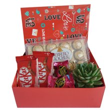 Cesta Chocolate e Suculenta