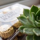 Cesta Chocolate e Suculenta