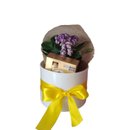 Box violeta 