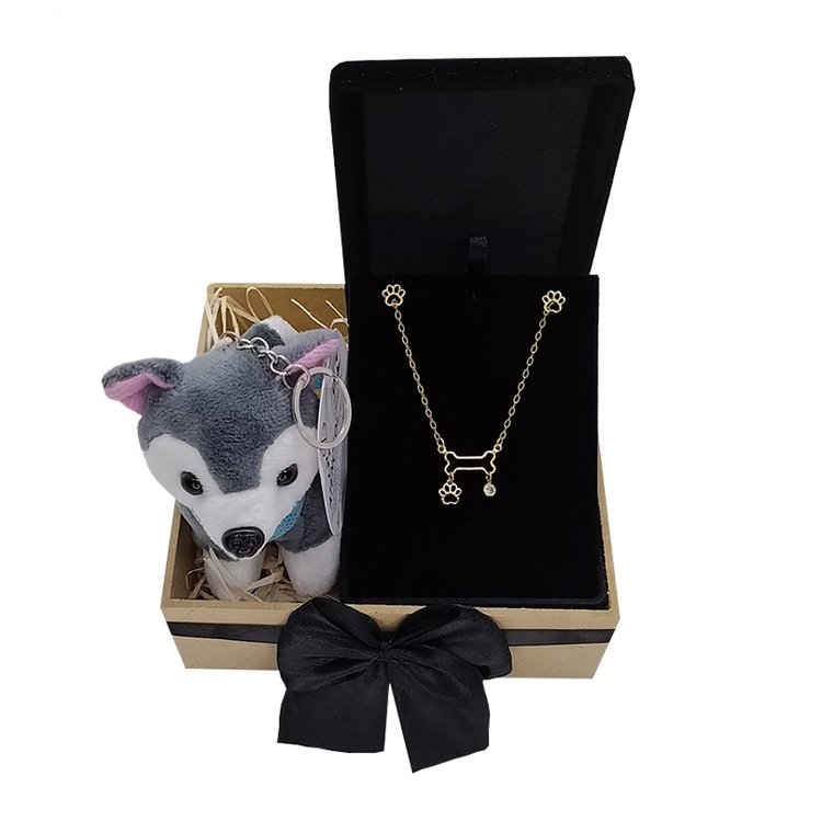 kit Pet