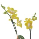 Vaso de Vidro Mini Orquídea Amarela