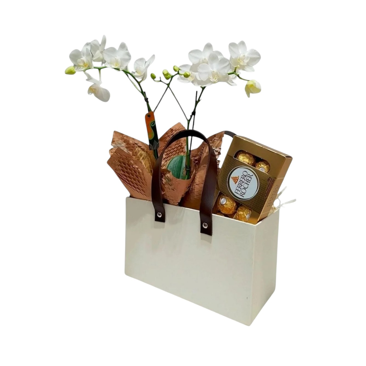 Cesta Premium Mini Orquídea e Chocolate