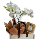 Cesta Premium Mini Orquídea e Chocolate 
