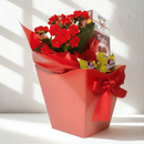 Mimo Flor da Fortuna