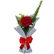 Rosa Vermelha Sorriso