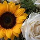 Buquê Rosas com Girassol