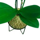 Kokedama de Orquídea Lilás