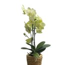 Orquídea Exotic Cachepô de Fio de Malha