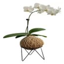 Suportes Aramado Para Kokedama Preto Liso