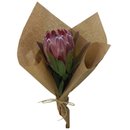 Buquê de Protea
