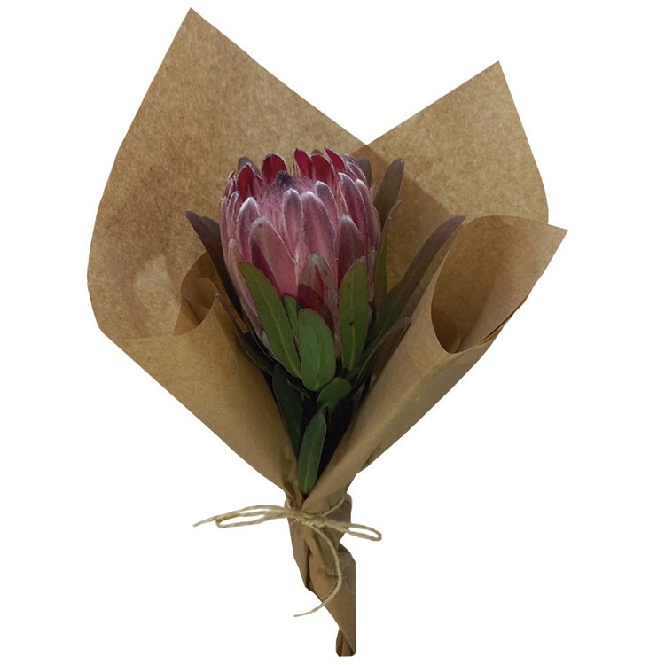 Buquê de Protea