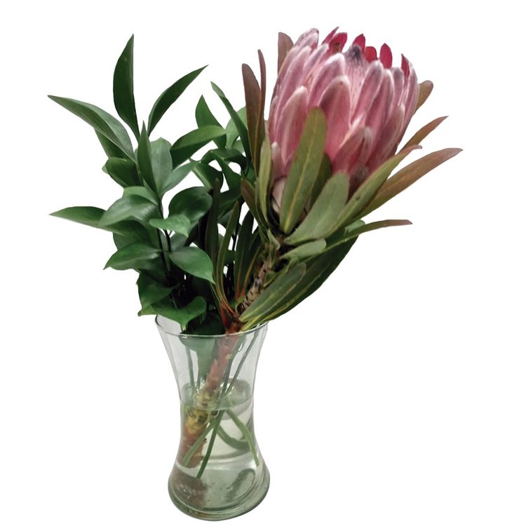 Arranjo de Protea no Vaso com Folhagens