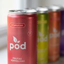 Kombucha Pod 310ml Probiótico Natural Saudável