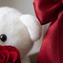 Caixa envelope com urso e rosas
