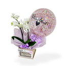 Cesta Clássica Rosé Com Balão e Orquídea