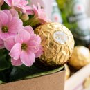 Cesta Aniversário Rosé Com Ferrero Rocher e Cervejas 
