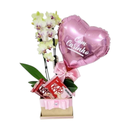 Cesta Orquídea KitKat E Balão Toque De Carinho 