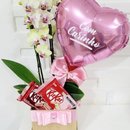 Cesta Orquídea KitKat E Balão Toque De Carinho 