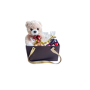 Cesta Urso de Pelúcia com Chocolate Belga