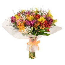 Buquê Sarah de Astromelias Coloridas