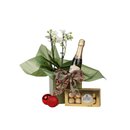 Cesta de Natal Orquídea e Chandon