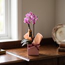 Mini Orquídea no Cachepot