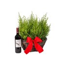 Arranjo de Natal Pinheirinhos 