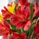 Buquê de Flores Coloridas com Bombom de Cereja