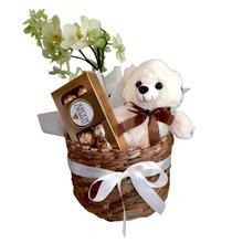 Cesta Orquídea, Bombons e Urso de Pelúcia