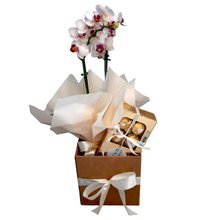 Linda Orquídea mais Caixa Bombons 
