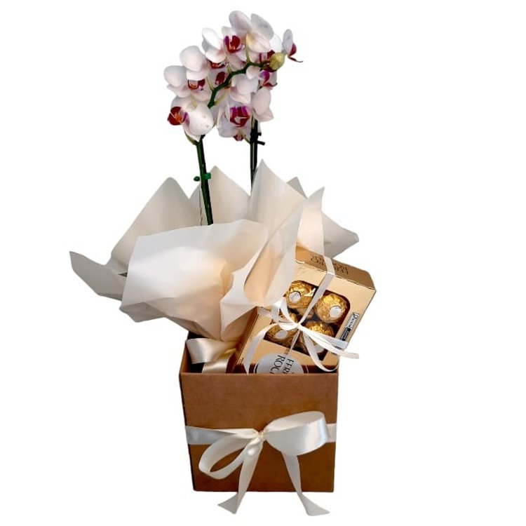 Linda Orquídea mais Caixa Bombons
