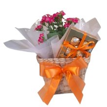 Cesta  Flores e Bombons Justine