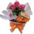 Cesta  Flores e Bombons Justine