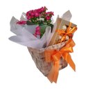 Cesta  Flores e Bombons Justine