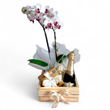 Linda Orquídea, Chandon e Finos Bombons 