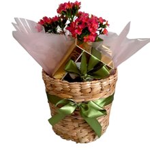 Cesta Mimo e Bombons