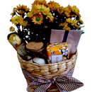 Cesta Floral Bem Estar Aromática