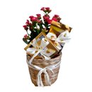 Cesta Rustica Floral com Chocolates Namorados