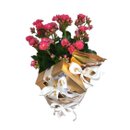 Cesta Rustica Floral com Chocolates Namorados