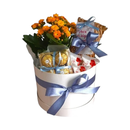 Cesta Box Ilumina com Chocolates - Especial Natal