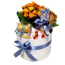 Cesta Box Ilumina com Chocolates - Especial Natal