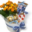 Cesta Box Ilumina com Chocolates - Especial Natal