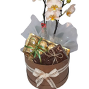 Box Cesta Naturette com Orquídea e Chocolates - Natal