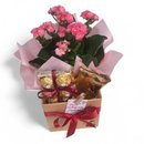 Cesta Charmosa Flores e Chocolates